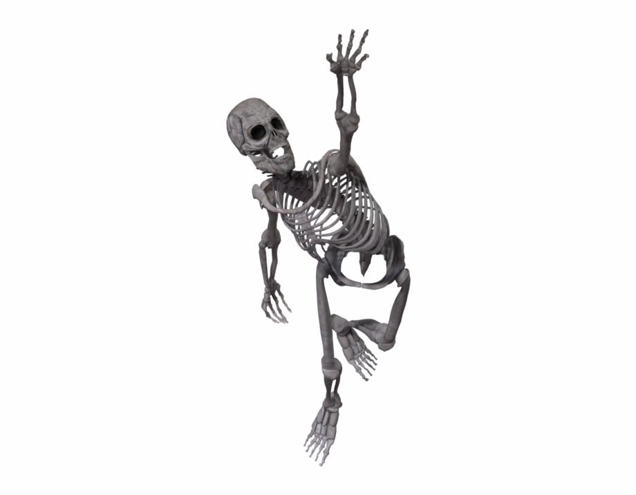 Running Skeleton Png Skull