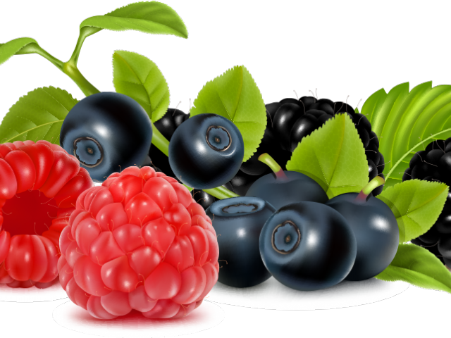 Berries Clipart Wild Berry Berries Clipart