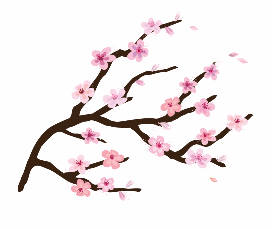 Cherry Tree Clipart Cartoon Cherry Blossom Tree Transparent