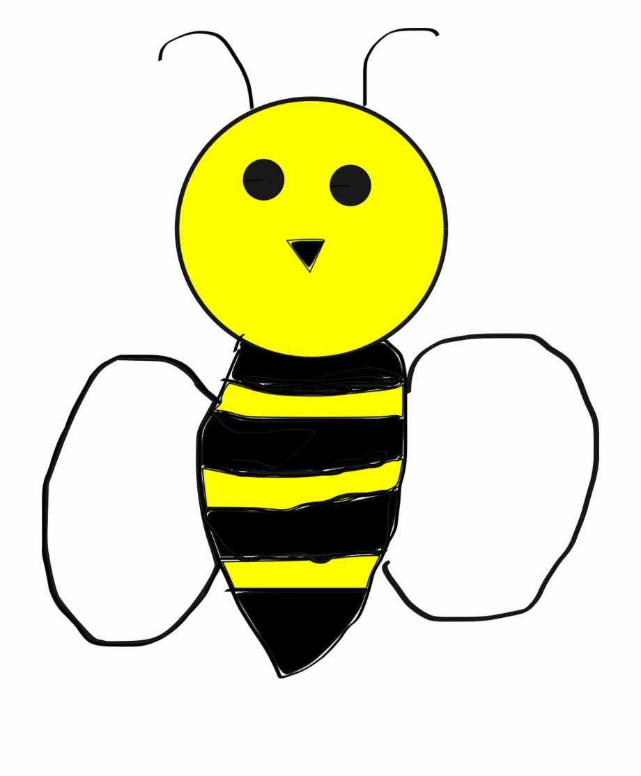 Clipart Bee Anatomy Transparent And Featured Illustration Humlebi