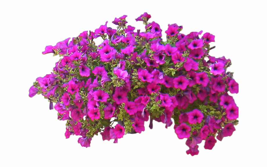 Flowers Bushes Png Cut Out Flowers Png
