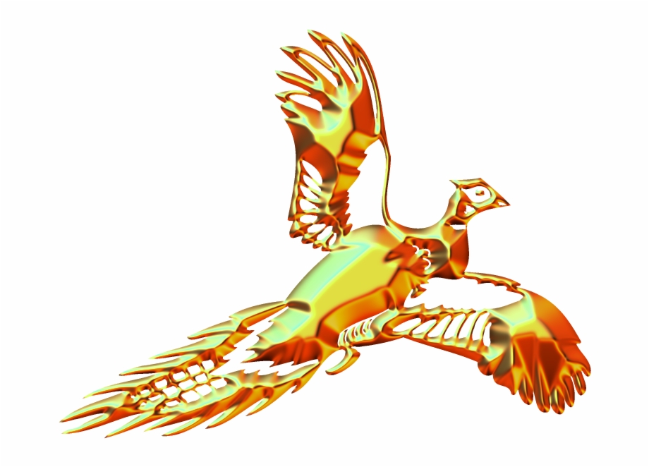 Pheasant Flying Picture Art Illustration