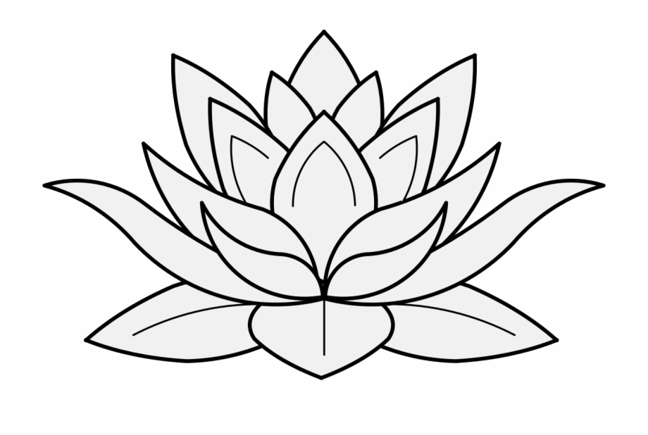 Lotus Flower In Profile Lotus Flower Drawing Transparent