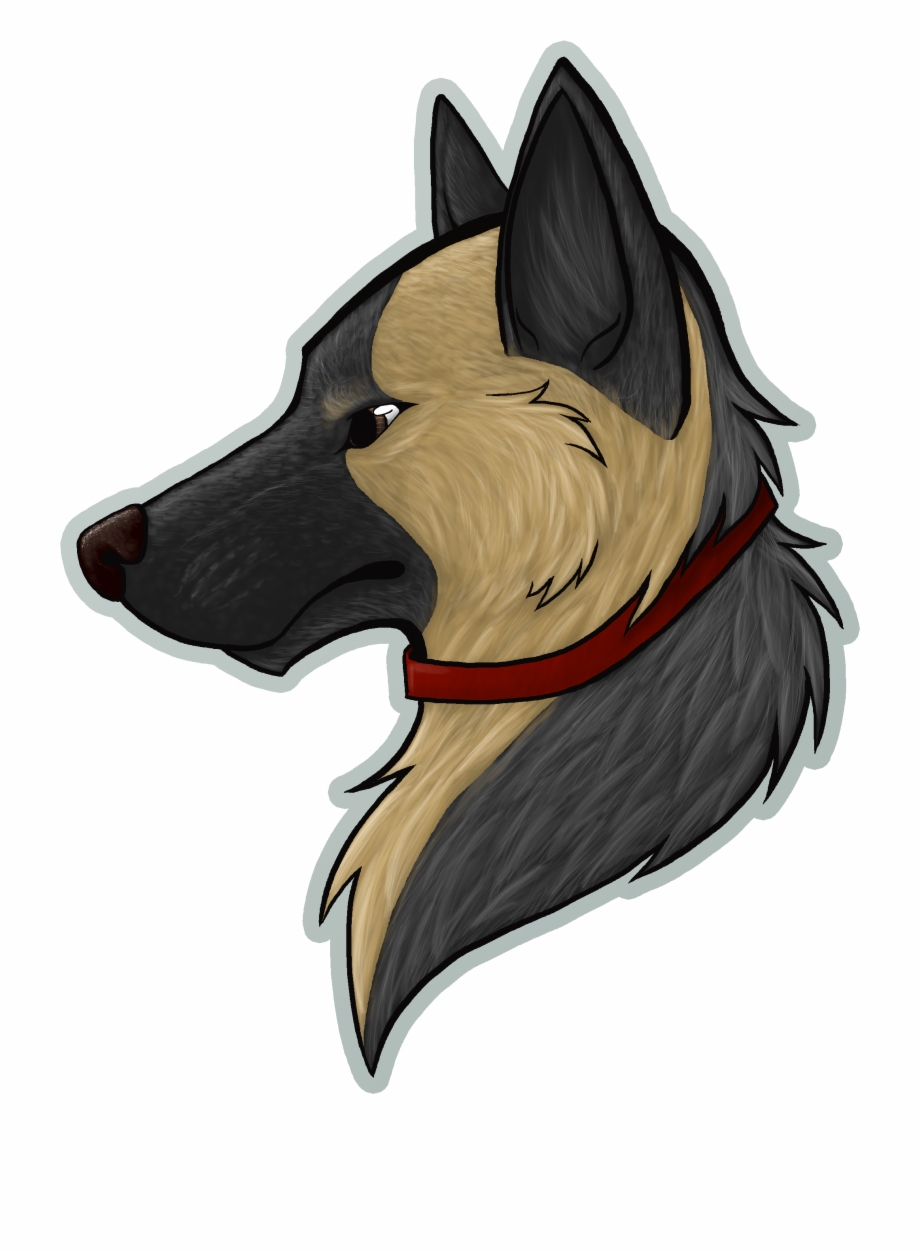 German Shepherd Czechoslovakian Wolfdog