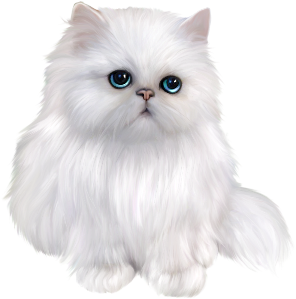 Svg Black And White Stock Transparent Kitten Persian