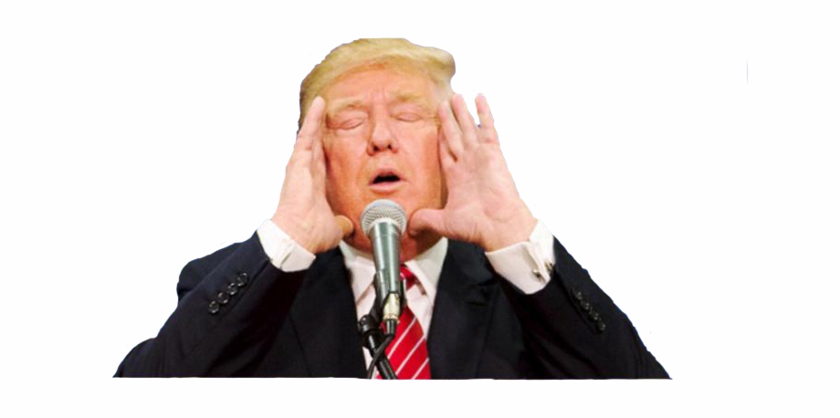 Donald Trump Cutouts Png Trump Face Transparent Png