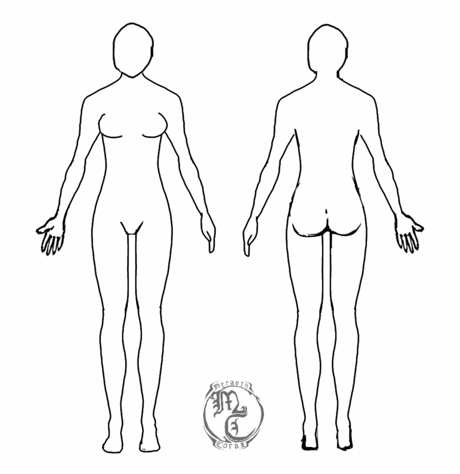 Human Body Outline Png Female Human Body Template