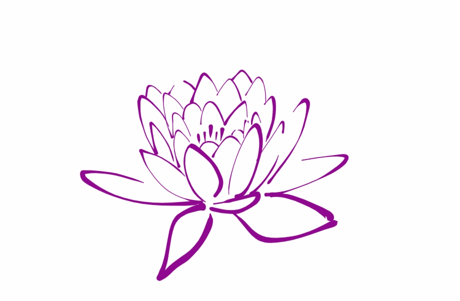 Magnolia Flower Clip Art Lotus Outline Png