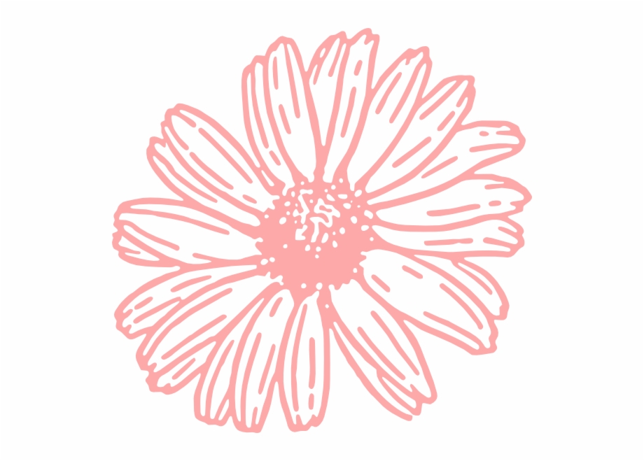 Daisy Png Black And White
