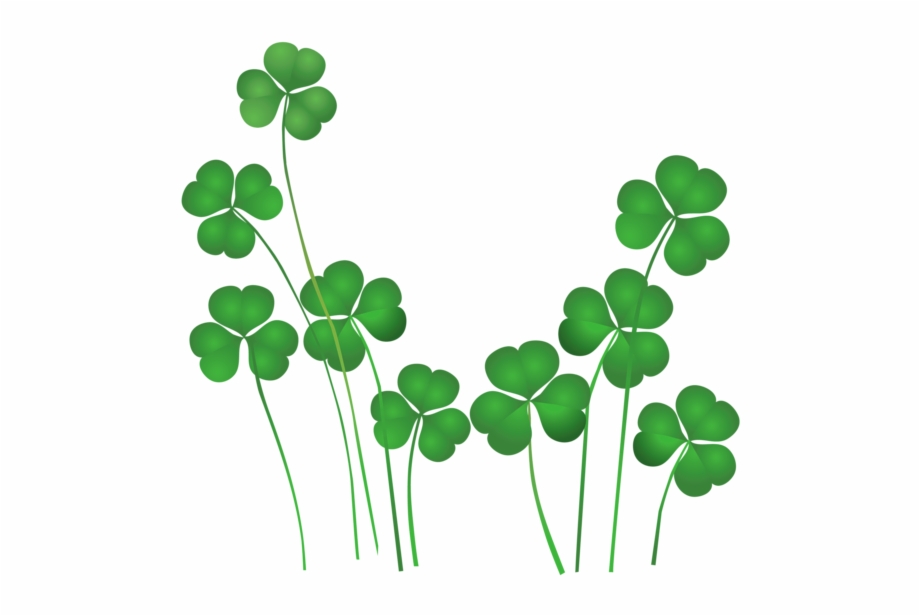 Free Shamrock Clipart Black And White, Download Free Shamrock Clipart ...