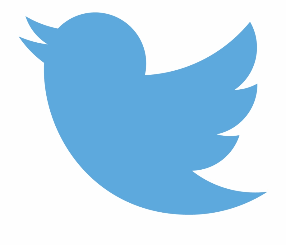 Twitter Bird Twitter In Love