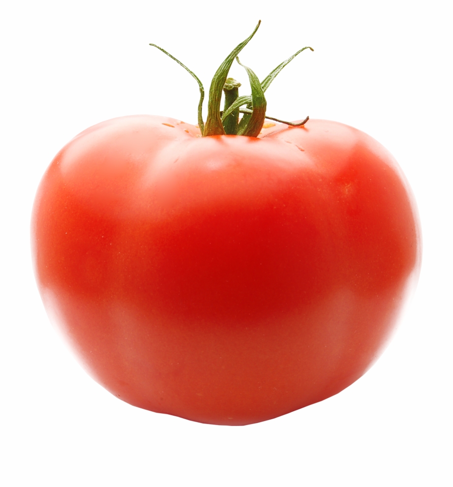 Tomato Tomato With No Background