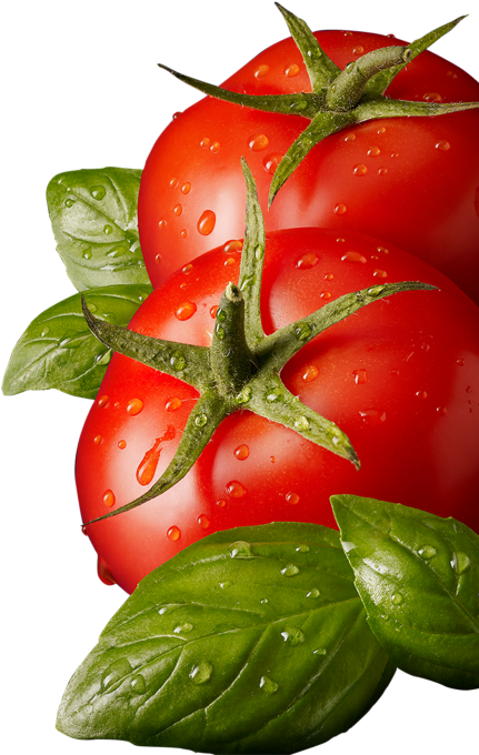 Tomatoe Png