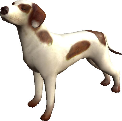 Interesting Unknown Facts About Dogs Dog 3D Model