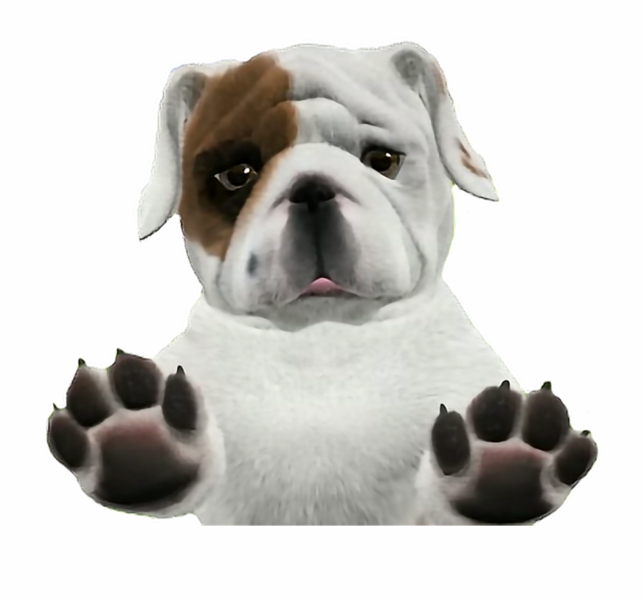 Transparent Background Dogs Png Png Download Bulldog Png