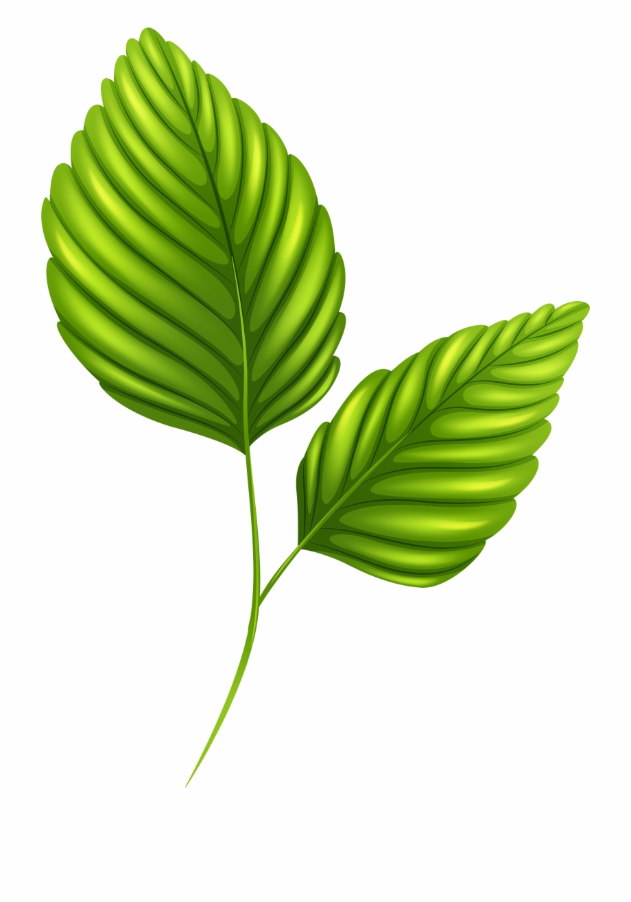 2 Clipart Leaf