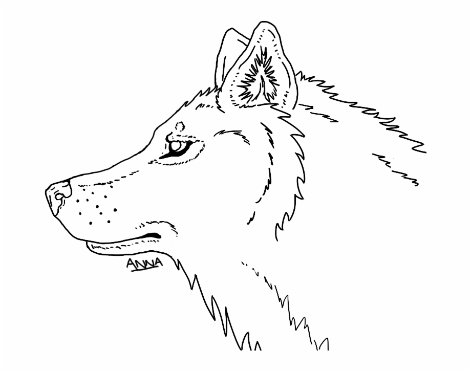 Wolf Line At Line Drawing Wolf Head