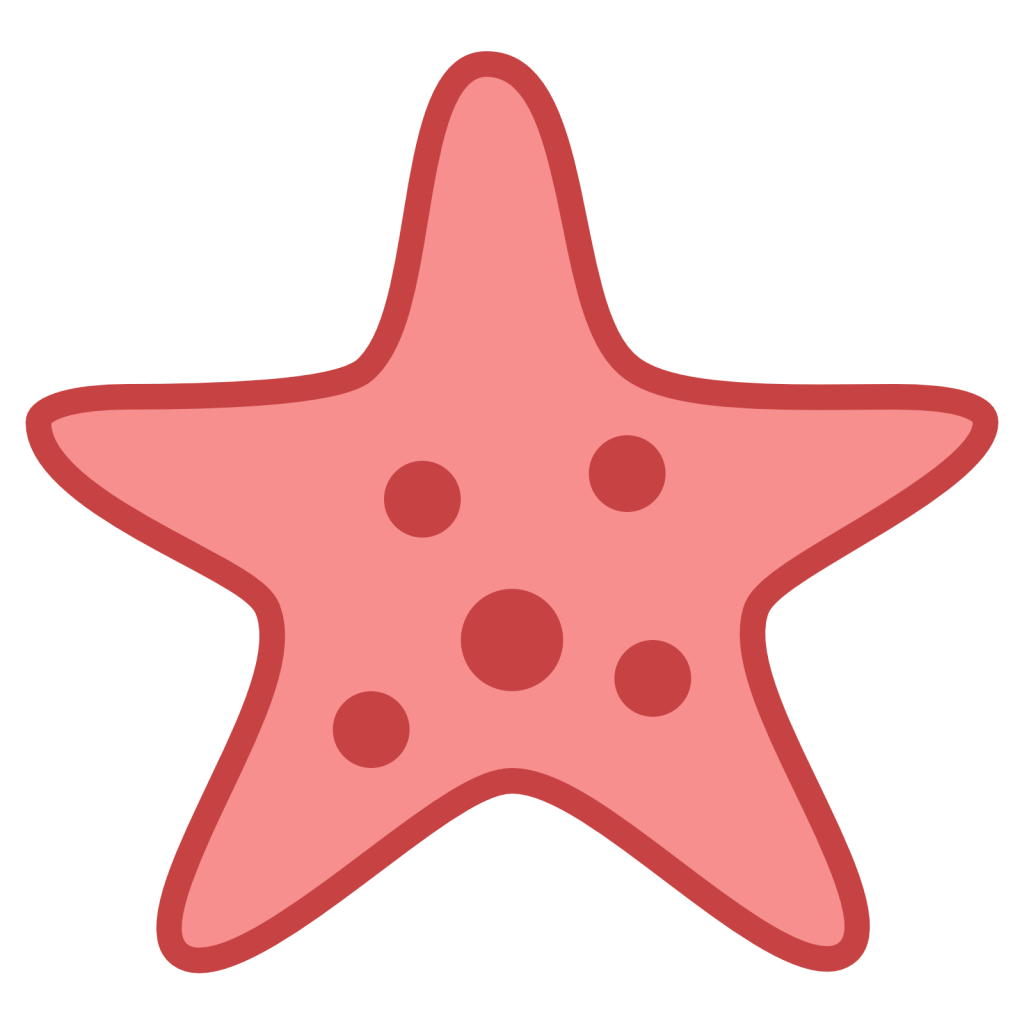 Star Fish Png
