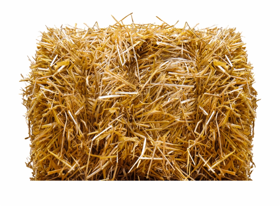 Straw Bale Hay Bale Png