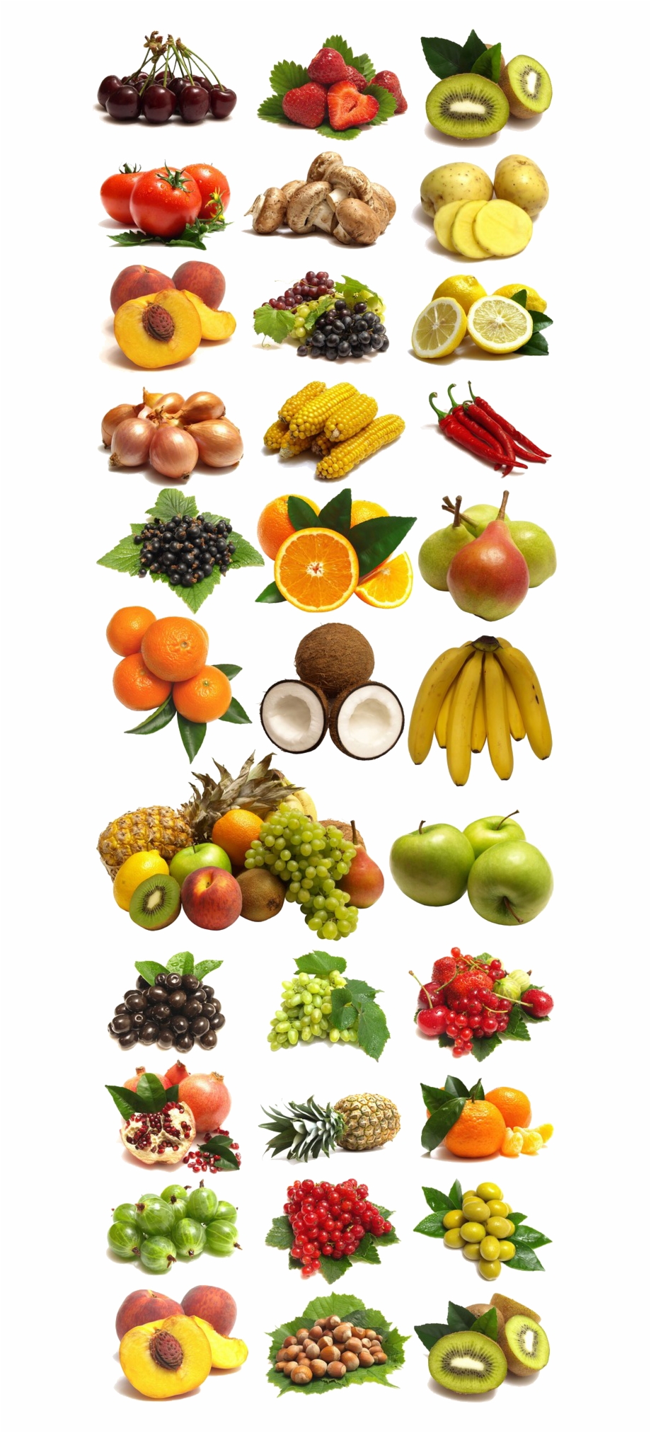 And Of Vegetables Collection Large Fruits Clipart Durable