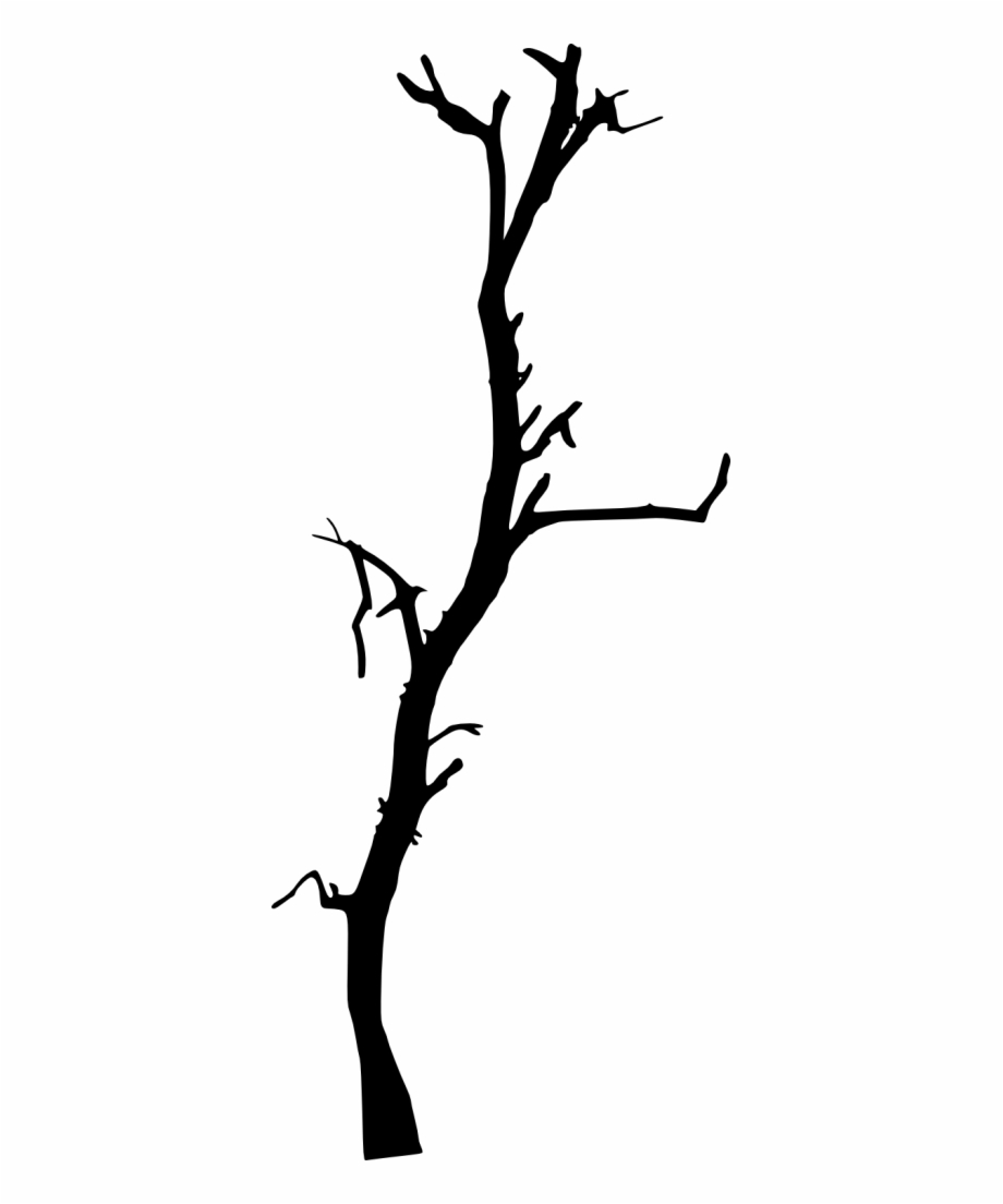 Сухое дерево силуэт