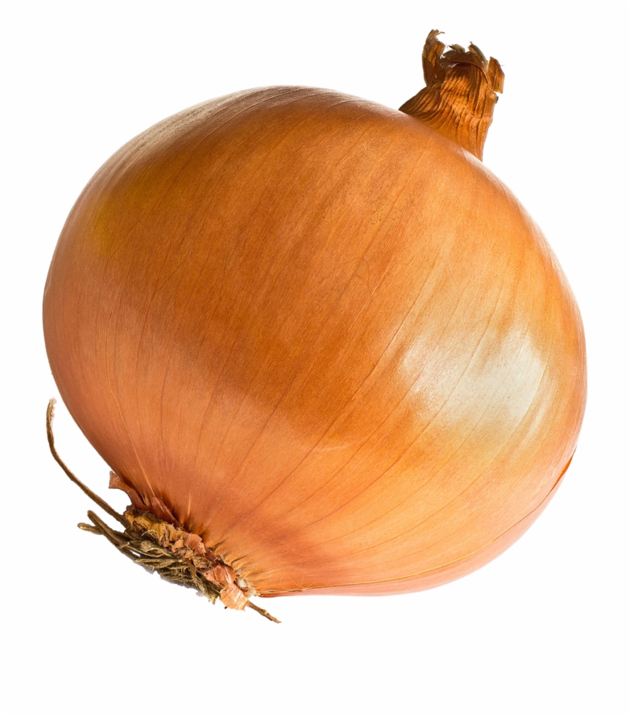 Onion Png Free Download Onion Png