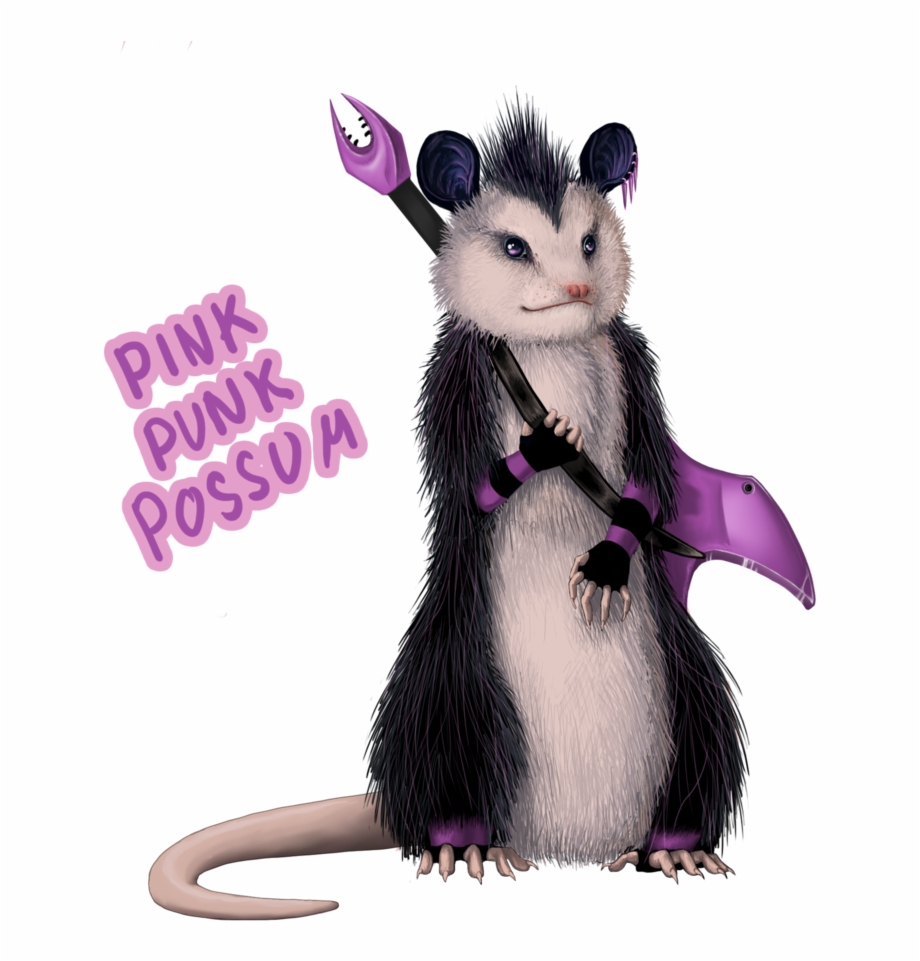 Possum Png
