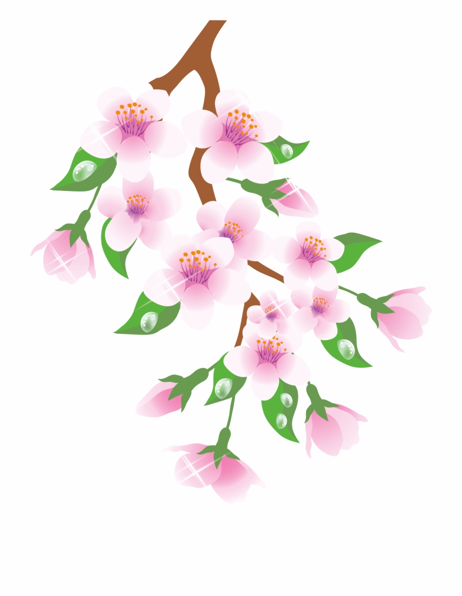 Setting Clipart Spring Flower With Branches Png