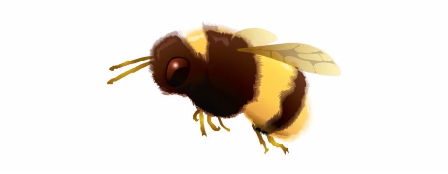 Bumble Bee Png