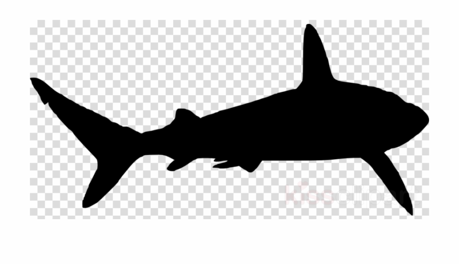 Download Shark Silhouette Png Clipart Shark Clip Art