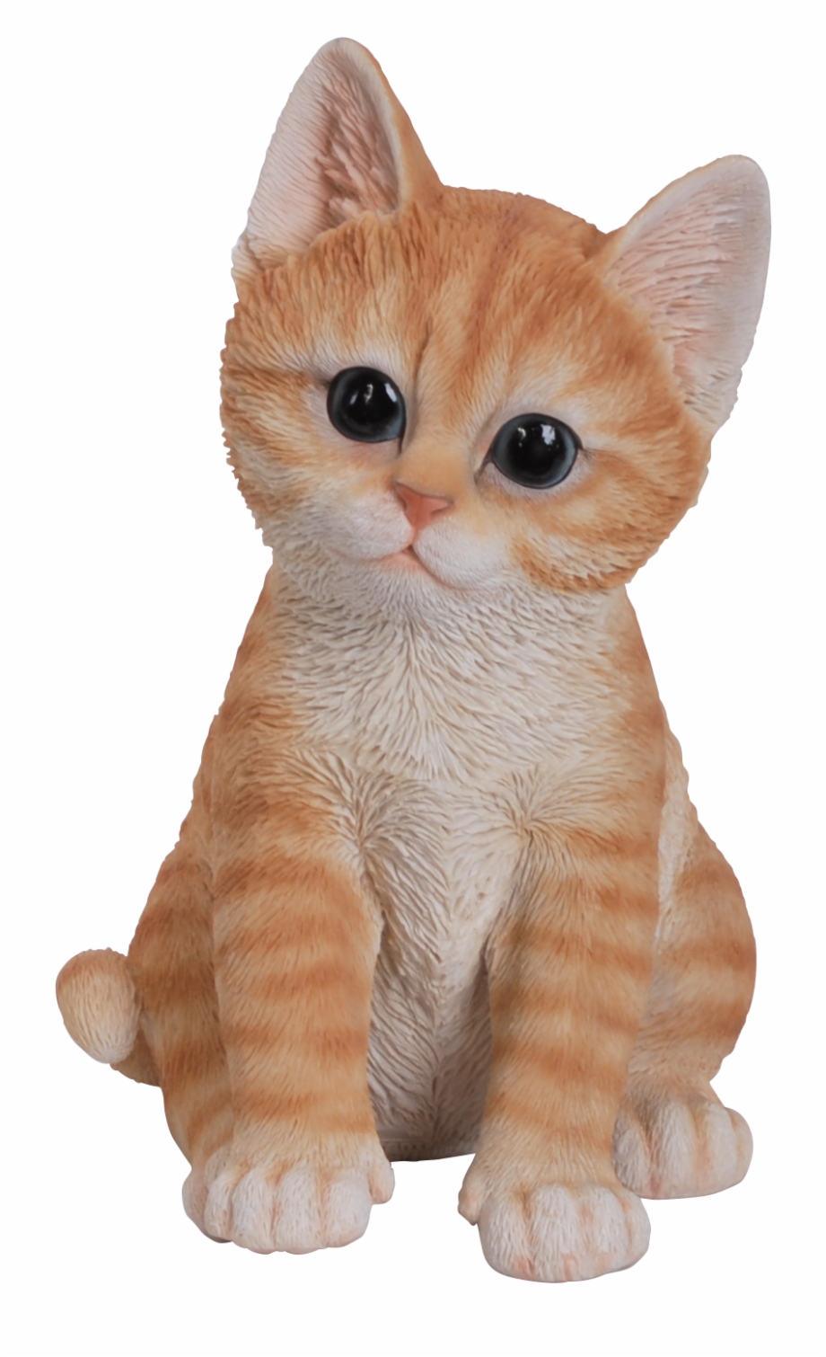 Cute Cats Png Cute Kitten Tabby Orange