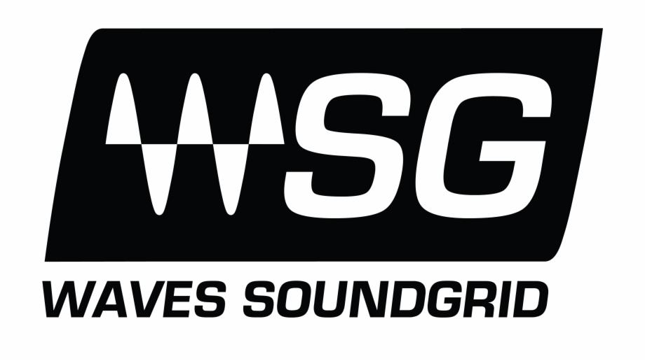 Download Waves Soundgrid Black Logo