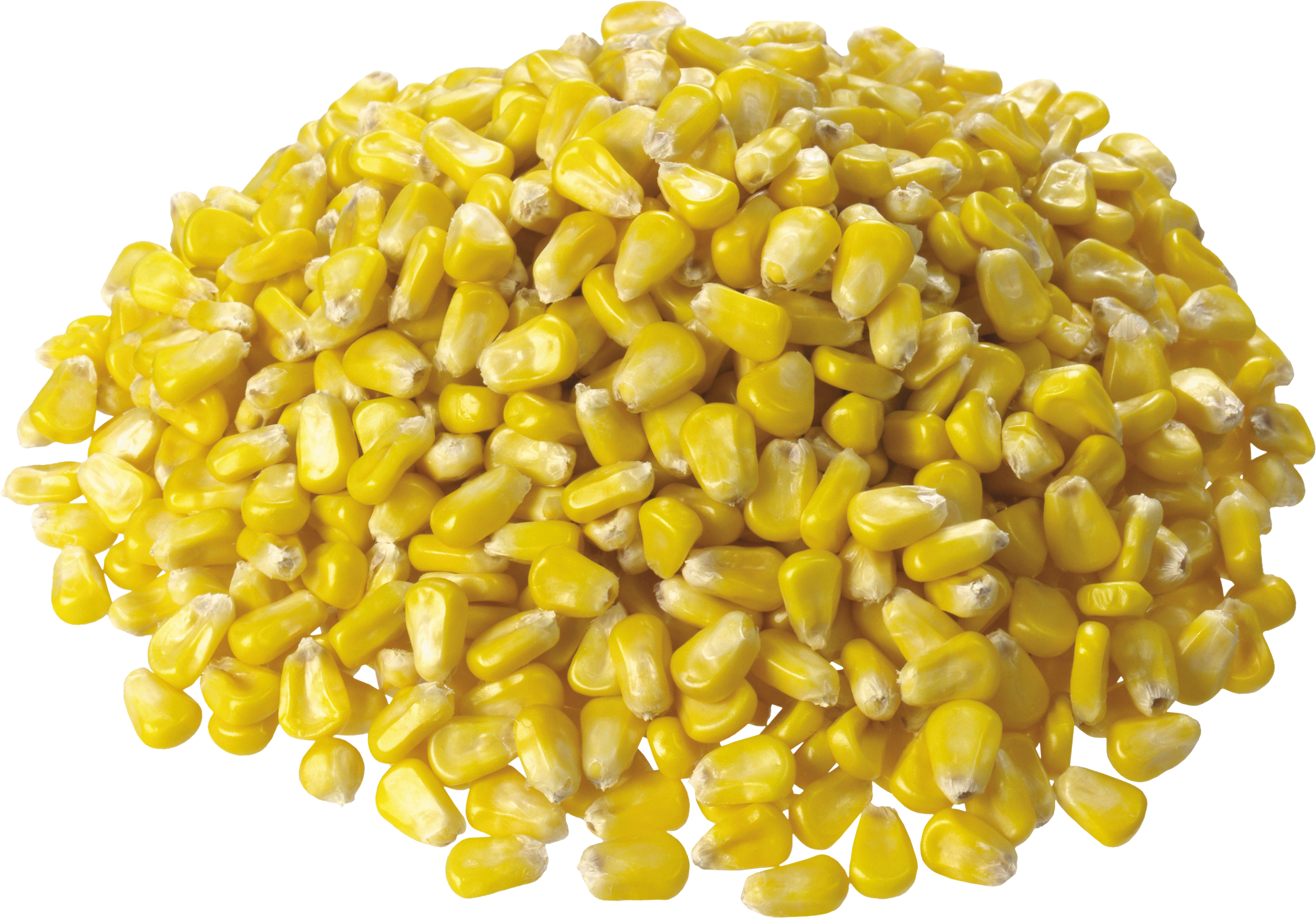 Corn Png Image Maize Png