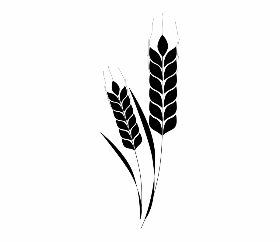 corn plant silhouette