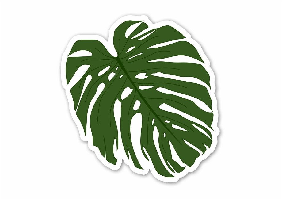 Palm Leaf Leaf Sticker Png