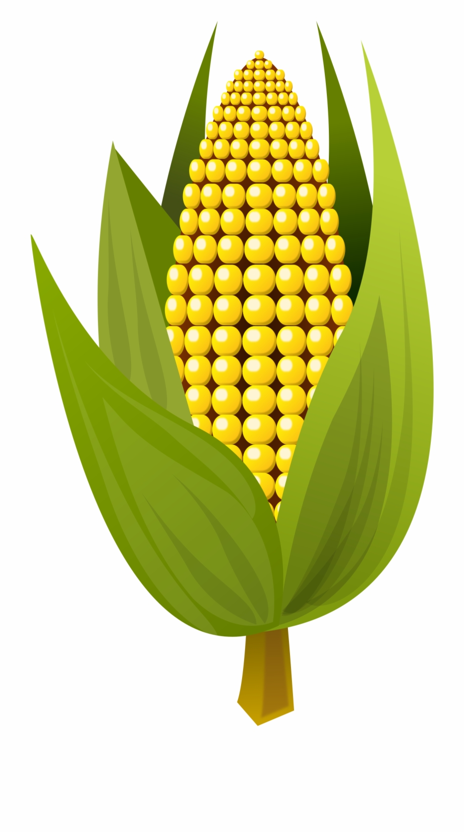 Corn Vector Clipart Image Corn Origami