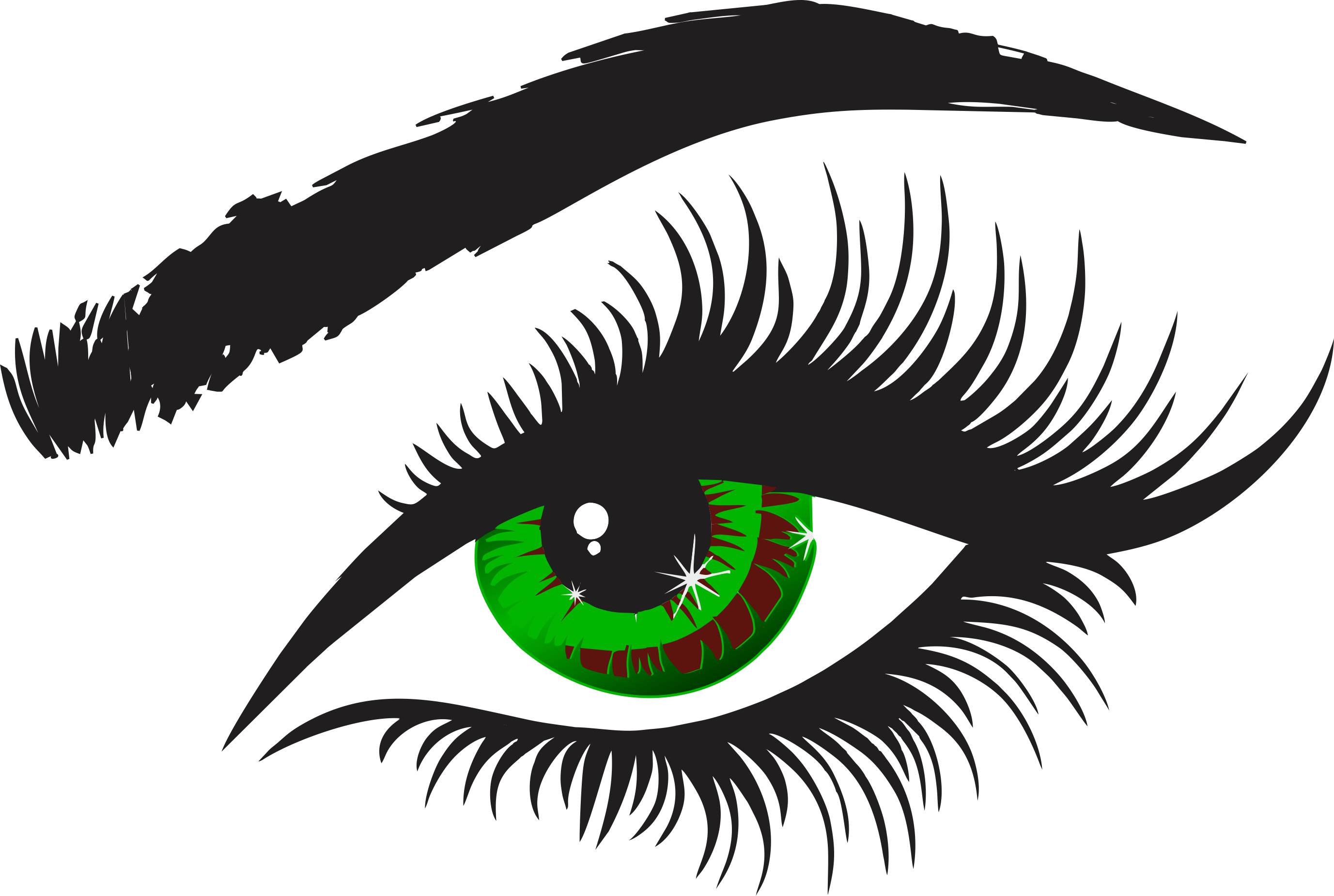 Eye With Lashes Clipart