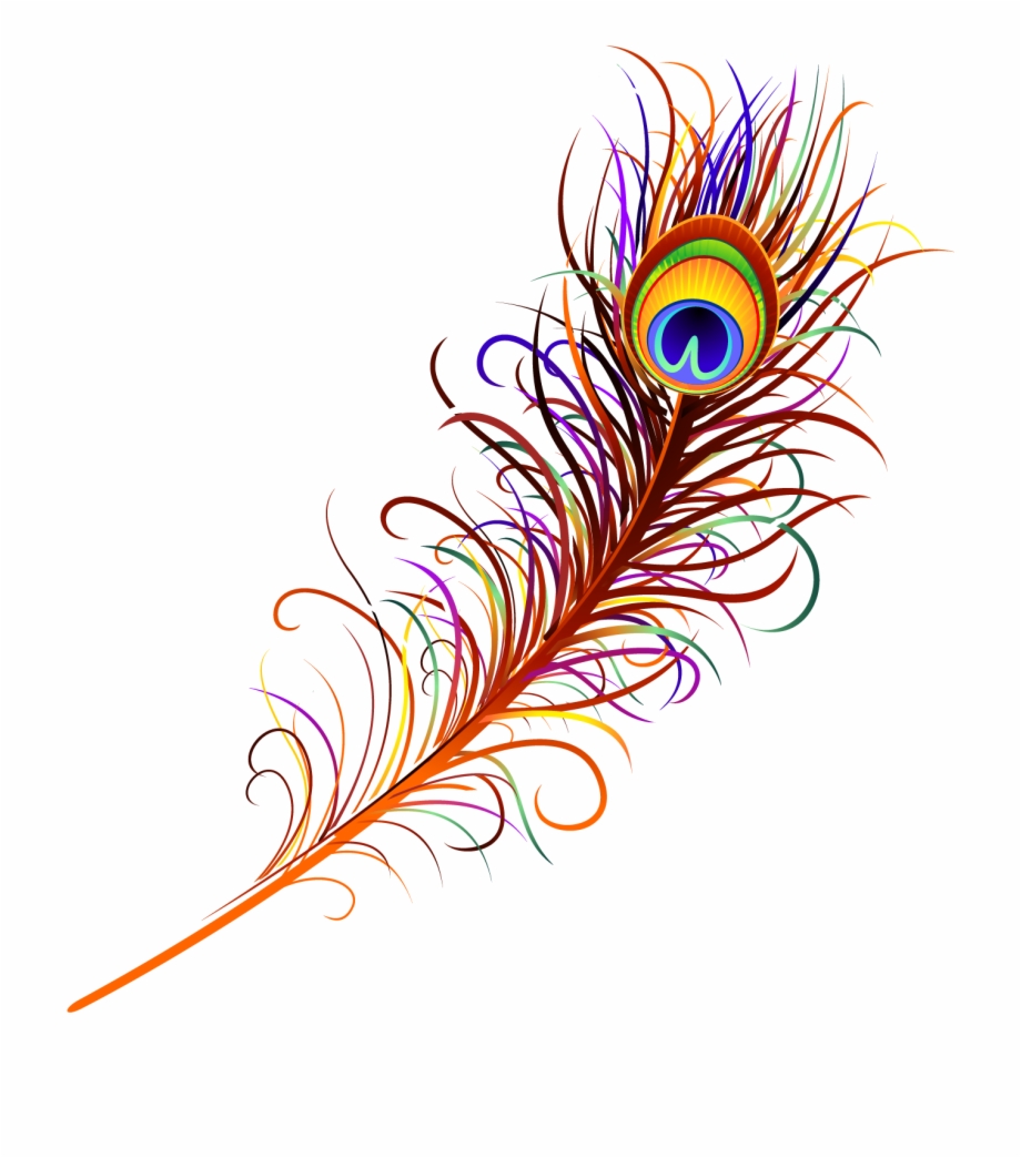 Peacock Feather Free Png Image Peacock Feather Png