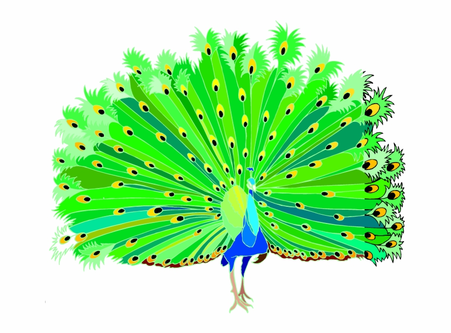 Dancing Peacock Clipart