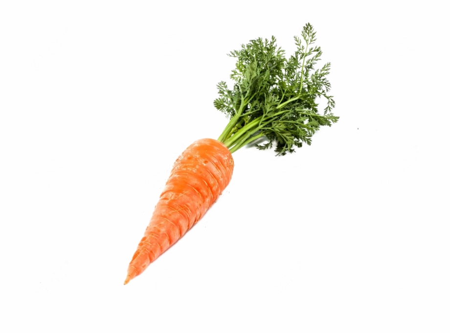 Single Carrot Transparent Background Carrot Png
