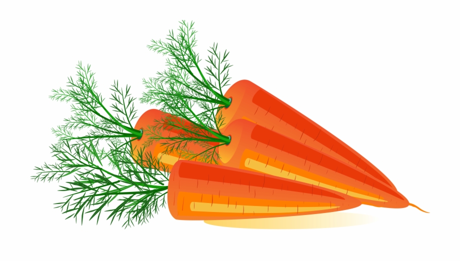 Carrot Carrots Clipart Transparent Background