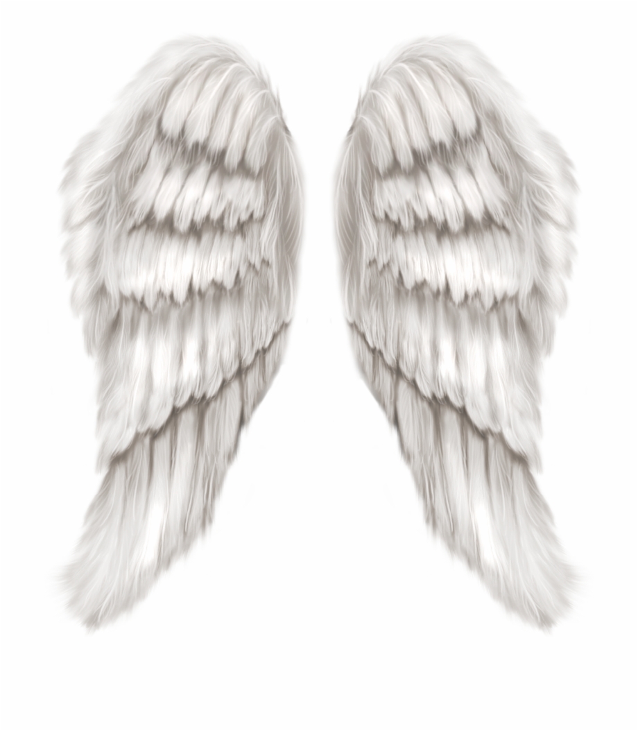 Image Free White Angel Wings Transparent Png Clip