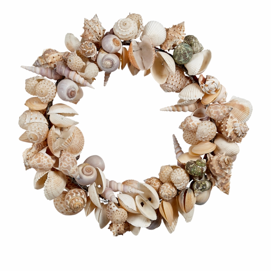 11 Shell Wreath Large Seashells Shell Wreath Png
