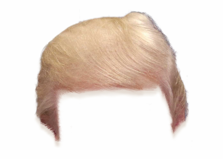 Trump Hair With Transparent Background