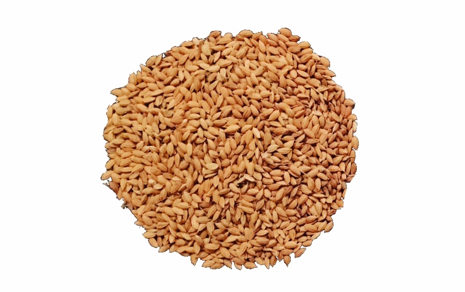 Brown Rice Png Free Download Dinkel Wheat