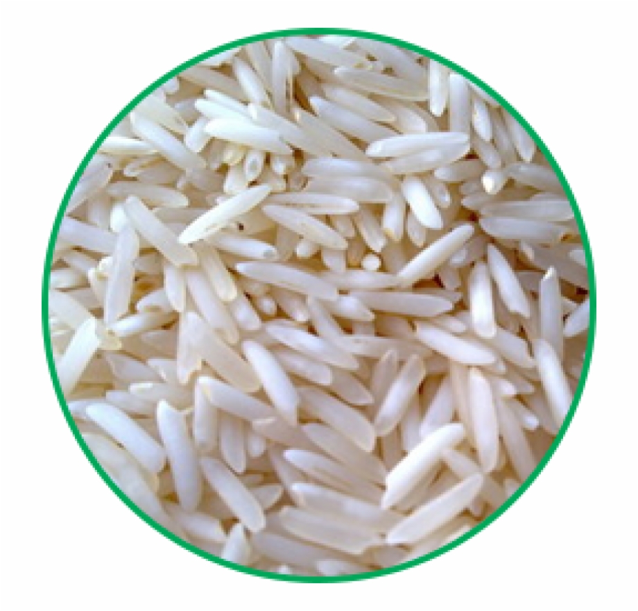 Best Basmati Rice Price