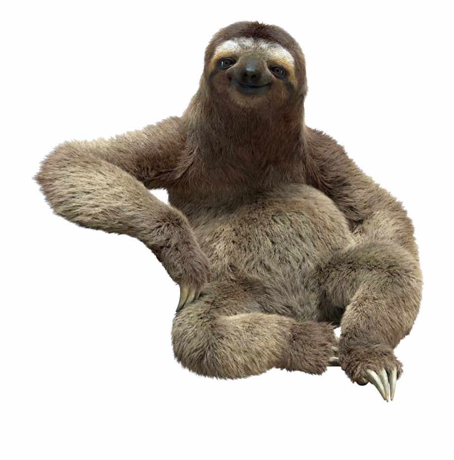 Transparent Sloths Background