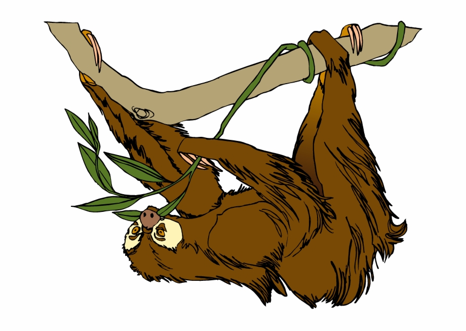 Sloth Clipart 3 Wikiclipart Transparent Sloth Clipart