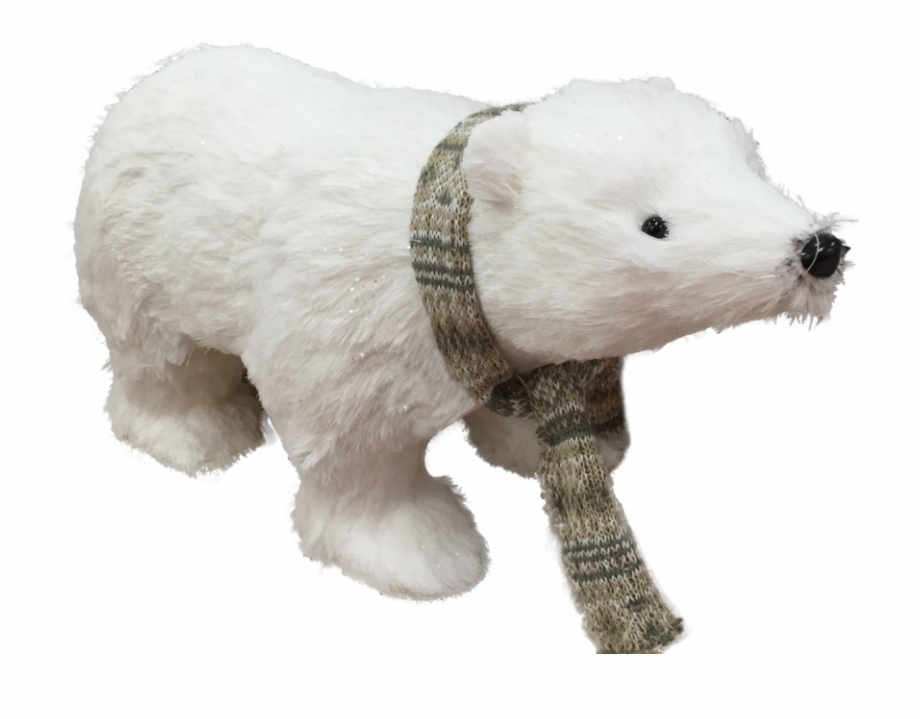 Download Polar Bear Png Transparent Images Transparent Teddy