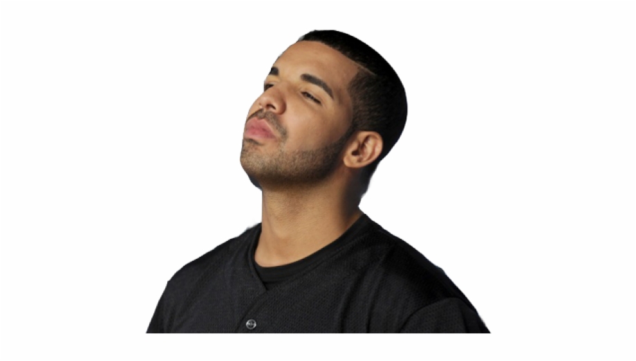 Drake Clipart Transparent Drake Png